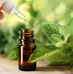 น้ำมันเปปเปอร์มินต์ธรรมชาติ Mentha piperita น้ำมันหอมระเหย ผู้จัดจำหน่ายขายส่ง - Product Image 1
