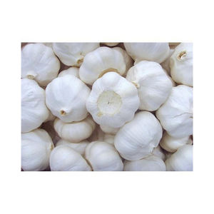 Fournisseur d'ail frais en vrac pour l'exportation, bulbes d'ail blancs de haute qualité pour l'industrie alimentaire mondiale et les marchés de légumes - Product Image 6