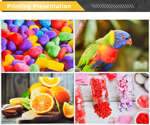 Tatrix 10 para HP10 Color Premium cartucho de tinta Compatible para hp10 C4838A C4837A <span class=keywords><strong>C4844A</strong></span> C4836A para HP OfficeJet Pro K850/k850dn - Product Image 4