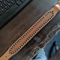 Collier pour chien de luxe en cuir pleine fleur de vache, écologique, de haute qualité, motif uni, rembourré, avec boucle en acier et anneaux en D, rivets