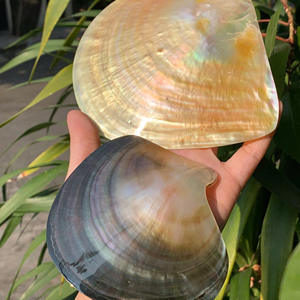 Vaisselle décorative en coquillages, assiettes en nacre noire polie dorée, plats en coquilles d'ormeaux, fabrication vietnamienne, vente en gros - Product Image 1