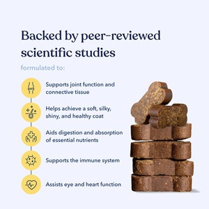 Compléments alimentaires multivitaminés tout-en-un en forme de friandises molles avec probiotiques pour chiens et chats - Soins de santé quotidiens biologiques - OEM/ODM - Marque privée - Product Image 5