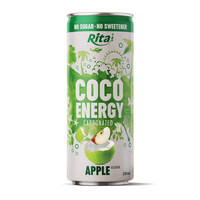 Boisson au cola Rita Date, extrait naturel de dattes, boisson gazeuse, boisson pétillante, canette de 330 ml, vente en gros, OEM, ODM