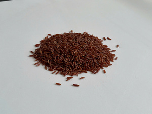 Riz long grain aromatique brun-roux du Vietnam, marque Vilaconic, récolte 2026, approvisionnement en vrac - Product Image 5