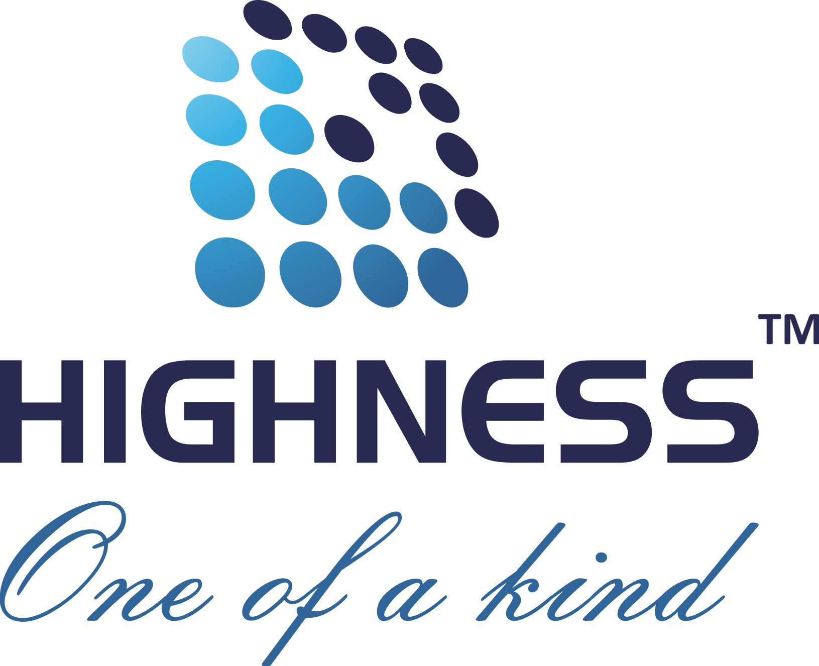 HIGHNESS MICROELECTRONICS LIMITED logo