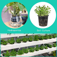 Pots en filet plastique pour culture hydroponique de légumes et fruits, coupelles de culture sans terre, paniers de germination pour semis