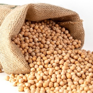 Granos Enriquecidos de Alta Calidad al Por Mayor, Garbanzos Secos de Primera Calidad al Mejor Precio, Gran Venta - Product Image 6