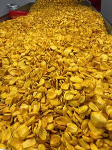 99 Gold Data Chips de Jackfruit Mûres Sucrées Croustillantes Frites Sous Vide 100% Huile Pure Biologique 1kg - Product Image 5