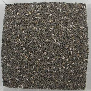 Les graines de chia crues secrètes de la montagne du Vietnam dévoilent la force cachée dans chaque petit grain en gros OEM ODM - Product Image 3