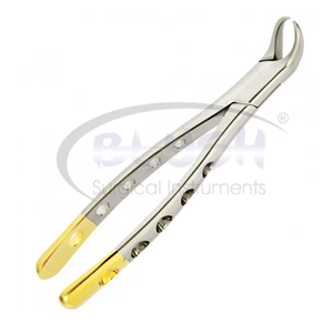 Dental Orthodontic Extraction Forceps Stainless Steel Tooth Extracting Surgical Instruments CE ISO Certified By <b>Blush</b> Surgical - Product Image 4