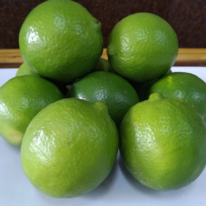 มะนาวไร้เมล็ดพรีเมียมจากเวียดนาม – สดใหม่ ฉ่ำ ไม่มีเมล็ด คุณภาพสูงสำหรับการส่งออก - คุณโซฮี - Product Image 5
