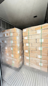 Aguacate Entero Congelado IQF, Envasado al Vacío, 24 Meses de Duración, 1 kg, Marca KMI, Exportación de Vietnam - Product Image 4