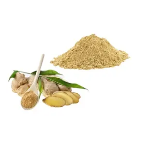 Factory Price Fresh Dehydrated Vegetable Ginger Extract Powder Food / Drink Grade Raw Material Organic Ginger Juice Powder