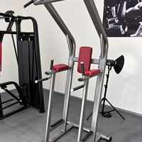 Machine de musculation polyvalente SK-L41 pour tractions, dips et levées de jambes – Station abdominale robuste en acier pour usage commercial en salle de sport et club de fitness