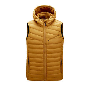 <b>Men's</b> Lightweight Hooded Puffer Vest-Quilted Sleeveless Insulated Spring/Summer/Autumn Bodywarmer <b>Letter</b> Print for Sports - Product Image 1