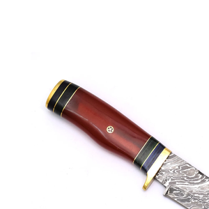 Cuchillo de Caza y Camping de Acero de Damasco, Hecho a Mano, Hoja Fija, Punta Caída, Mango de Resina de Grado Industrial, Fabricante OEM/ODM - Product Image 2