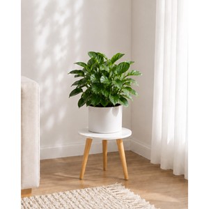Cedar Wood Tiered <b>Planter</b> Stand | Aromatic 5-Level Wooden Plant Stand Wholesale - Product Image 4