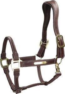 Adjustable Genuine Leather Horse Halter for Professional Riding <b>Equestrian</b> Equipment From Divine International - Product Image 6