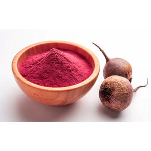 Polvo de remolacha deshidratada natural de primera calidad para aplicaciones culinarias a un precio más bajo. - Product Image 4