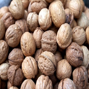Nueces Orgánicas Secas al Aire, Precio al por Mayor, Sin Cáscara, Estilo Fresco, Tostadas - Product Image 3