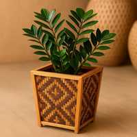Pot de fleurs carré en bambou durable, tissé et sculpté à la main |   Jardin suspendu écologique, biodégradable et durable pour l'intérieur et l'extérieur