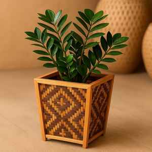 Maceta Cuadrada de Bambú Tejida y Tallada a Mano |   Soporte Ecológico para Plantas de Interior Colgantes |   Biodegradable |   Tamaño Personalizado - Product Image 4