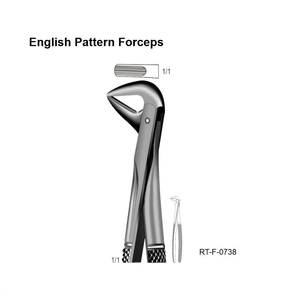 Forceps d'extraction ergonomiques de type anglais en acier inoxydable par Roboz Tech Pakistan - Product Image 6
