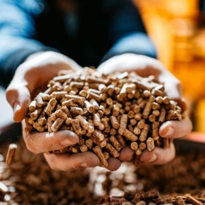 Granulés de bois écologiques de qualité supérieure, riches en énergie et en densité, pour le chauffage industriel - Product Image 3