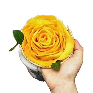 Rebanadas de mango secadas al aire dulce de Vietnam, aperitivos de frutas tropicales a granel, venta al por mayor, grado de exportación directo del fabricante de mango - Product Image 6