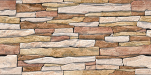 Carreaux muraux Premium Choice de qualité supérieure, carreaux d'élévation Asia Tiles 300x600mm pour articles de santé. - Product Image 3