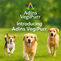 Alimentation Complète et Équilibrée pour Chiens : Croquettes Végétaliennes Bio Riches en Protéines, Sans Céréales, Soutien Immunitaire et Santé Cutanée – Fournisseur Direct Usine OEM/ODM