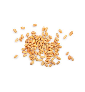 Servicio OEM, Listo para Enviar, Trigo Duro Premium, Venta al por Mayor, Grado Alimenticio, el Más Vendido, Suministro a Granel - Product Image 3
