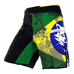 Shorts de combat MMA pour hommes, drapeau brésilien, impression par sublimation, séchage rapide, shorts d'entraînement de arts martiaux mixtes, coupe régulière, taille adulte - Product Image 1