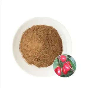 Polvo de extracto de Cornus Officinalis de calidad alimentaria al mejor precio al por mayor para exportación