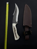 Couteau de survie et de chasse en corne de cerf, acier inoxydable, bord partiellement dentelé, gravé, lame fixe pour bushcraft, couteau multifonction