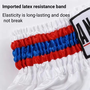 Wholesale Muay Thai Fight <b>Shorts</b> With Embroidery Mma Boxing Training <b>Shorts</b> Custom Logo Mma <b>Grappling</b> Jiujitsu <b>Grappling</b> <b>Short</b> - Product Image 4