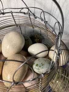 Multi-Use Wire <b>Storage</b> Basket for <b>Eggs</b>, Fruits and Kitchen Essentials - Product Image 3