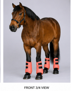 Bottes d'équitation en néoprène, amortissantes, respirantes, durables, protection des jambes, service OEM. - Product Image 2