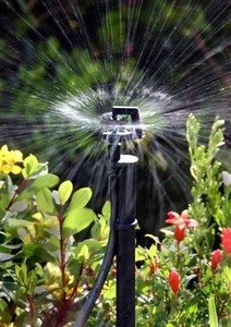 Aspersores de Microirrigación de Alta Calidad, Sistema de Riego Seguro y Duradero para Jardinería y Agricultura, Exportación a India - Product Image 6
