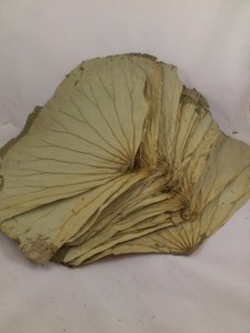 ธรรมชาติใบบัวแช่แข็งใบบัวขายส่งมุม - Product Image 6