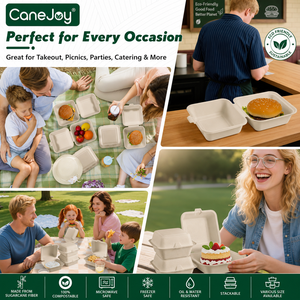 6x6 Inch Bagasse Clamshell <b>Container</b> Lid Disposable <b>Takeaway</b> Food Box Travel Water Microwavable Biodegradable Minimalist Design - Product Image 5