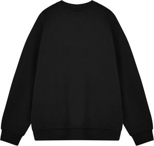 Long Sleeves 280GSM Anti-Pilling Wholesale Custom Logo Solid Winter Sweatshirts Unisex Men Women Breathable Hoodies Pullover - Product Image 3
