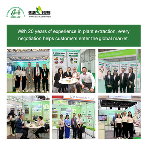 Green Life ramuan Natural ekstrak kunyit <span class=keywords><strong>95</strong></span>% bubuk Kurkumin kemurnian tinggi massal Nutraceutical Grade - Product Image 6