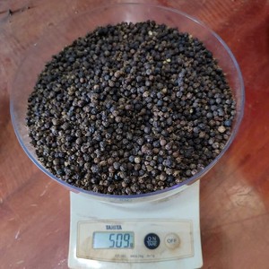 [Keith Vilaconic] Pimienta Negra Seca 500 G/L 100% Natural Origen Vietnam Precio de Exportación Competitivo Suministro Estable 24 Meses de Caducidad - Product Image 3