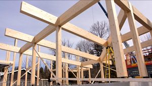 Ecológico resistente al agua 1220x2440mm tableros de unión de dedo diseño moderno personalizado Paneles sólidos Arce caucho madera Pino Villa - Product Image 4