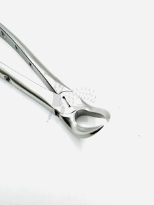 Forceps d'extraction dentaire manuels en acier inoxydable de qualité médicale Fig. 23 Poignées ergonomiques en corne de vache réutilisables de qualité supérieure - Product Image 2