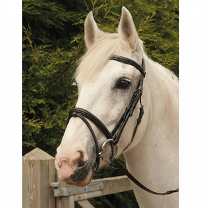 Ensemble complet de bridon équestre en cuir de haute qualité et durable pour l'extérieur avec rênes, personnalisation acceptée, haltères équestres complets - Product Image 4