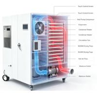 Déshydrateur automatique à pompe à chaleur grande capacité pour fleurs, épices, viande et production de saucisses