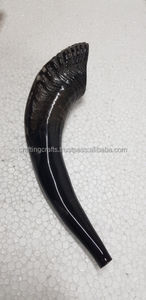 Shofar de Cuerno de Carnero Pulido a Mano de Alta Calidad de la India, Ecológico, Venta al por Mayor - Product Image 2