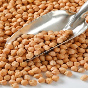 Pois chiches en conserve en saumure, conditionnés en vrac, certifiés HACCP/Kosher, durée de conservation de 3 ans pour la revente - Product Image 1